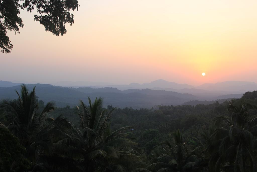 Paradise Forest Garden Matale Extérieur photo