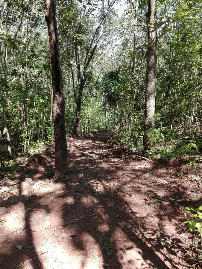 Paradise Forest Garden Matale Extérieur photo
