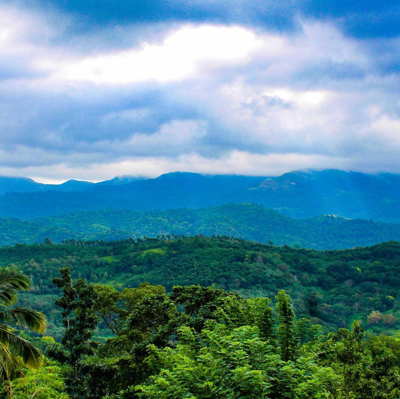 Paradise Forest Garden Matale Extérieur photo